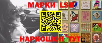 МДПВ Камышлов