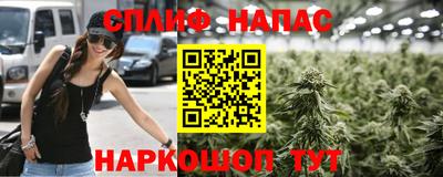 МДПВ Камышлов