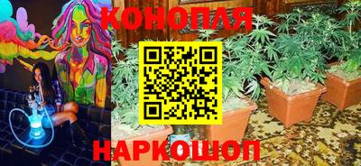 МДПВ Камышлов
